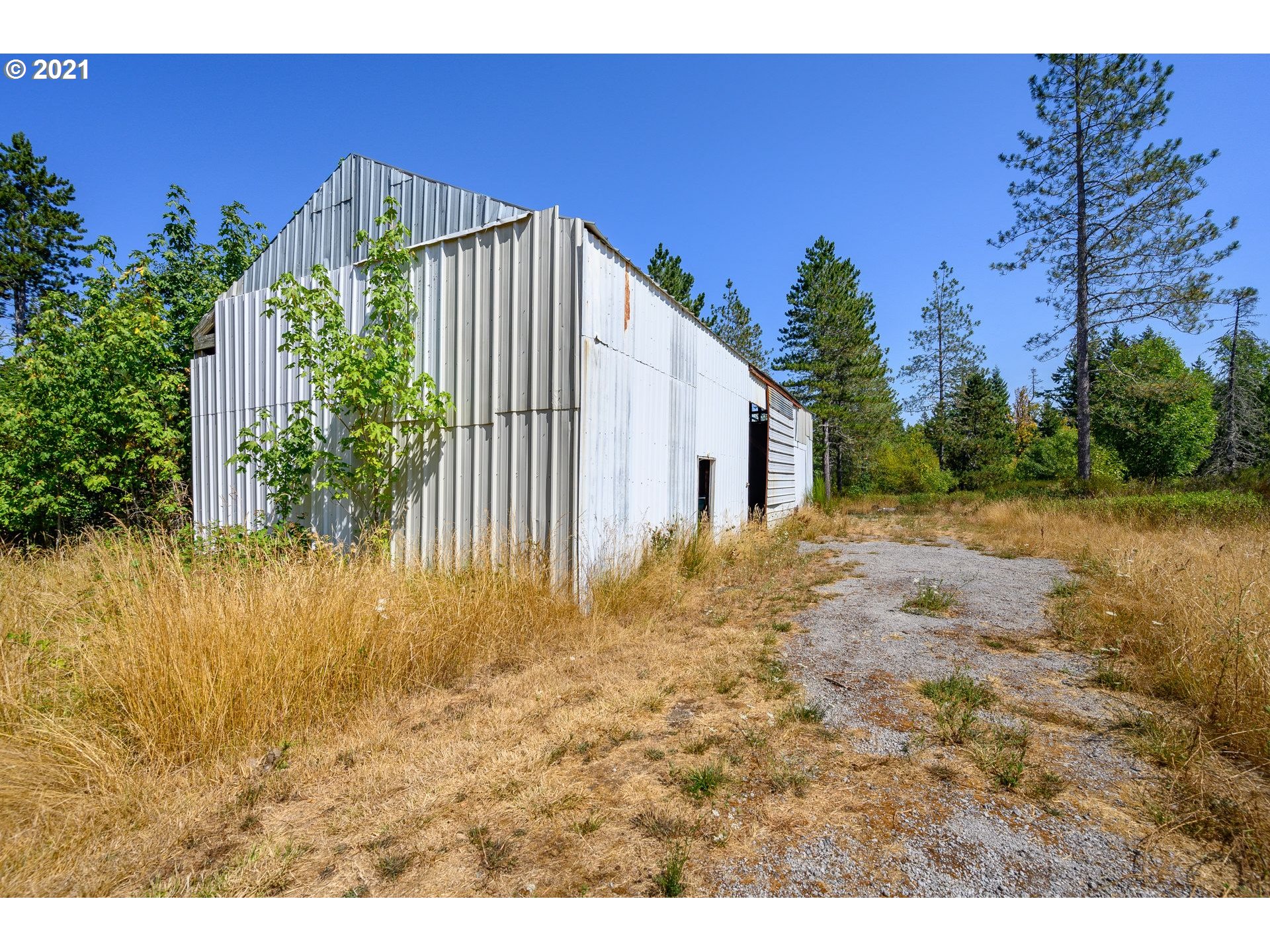 7400 Ash Street Grand Ronde, OR 97347 - Photo 20 of 23 a view of outdoor space and yard