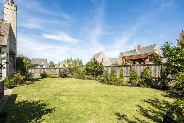 a view of a big yard with potted plants