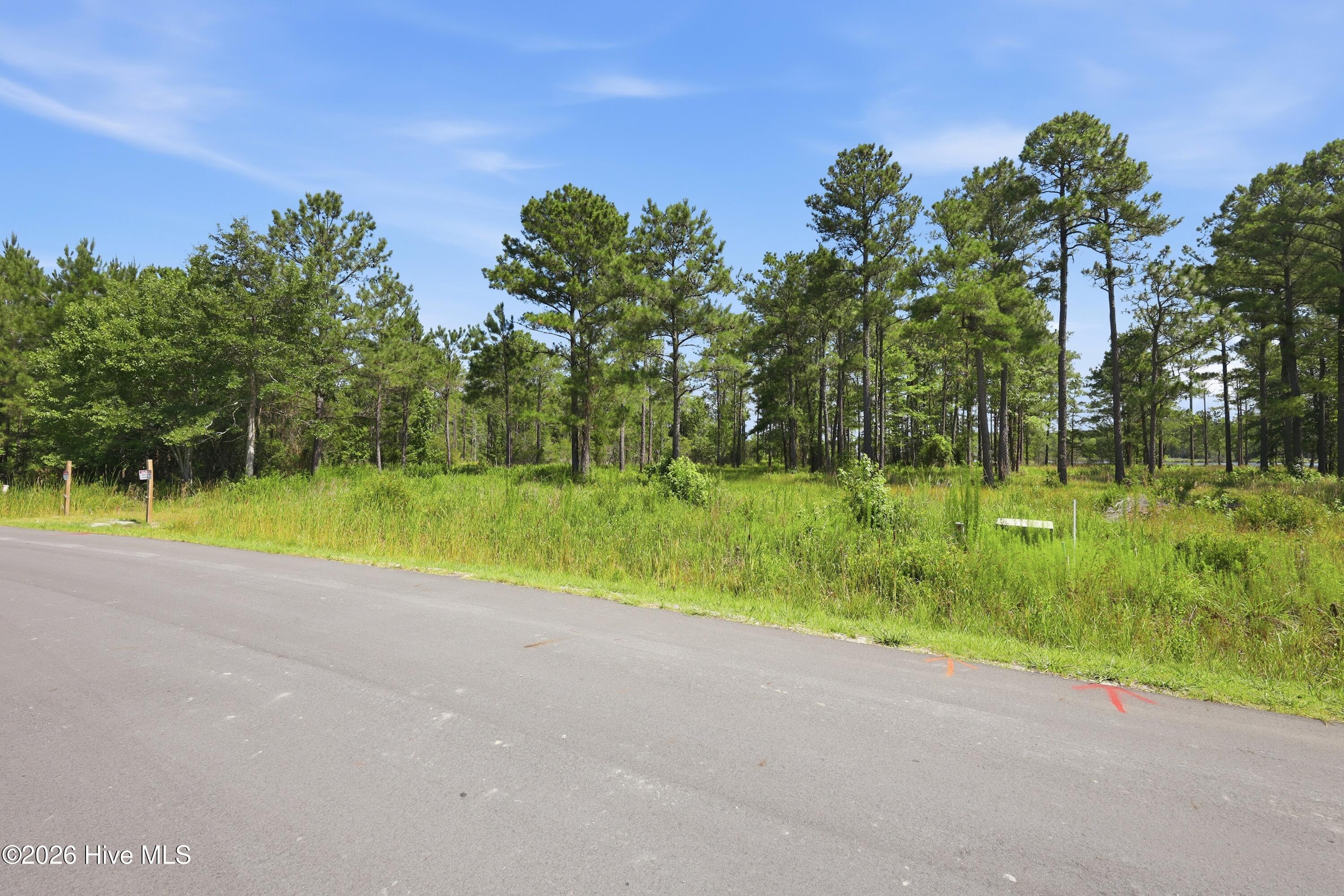 247 Shell Castle Lane Vandemere, NC 28587 - Photo 4 of 16
