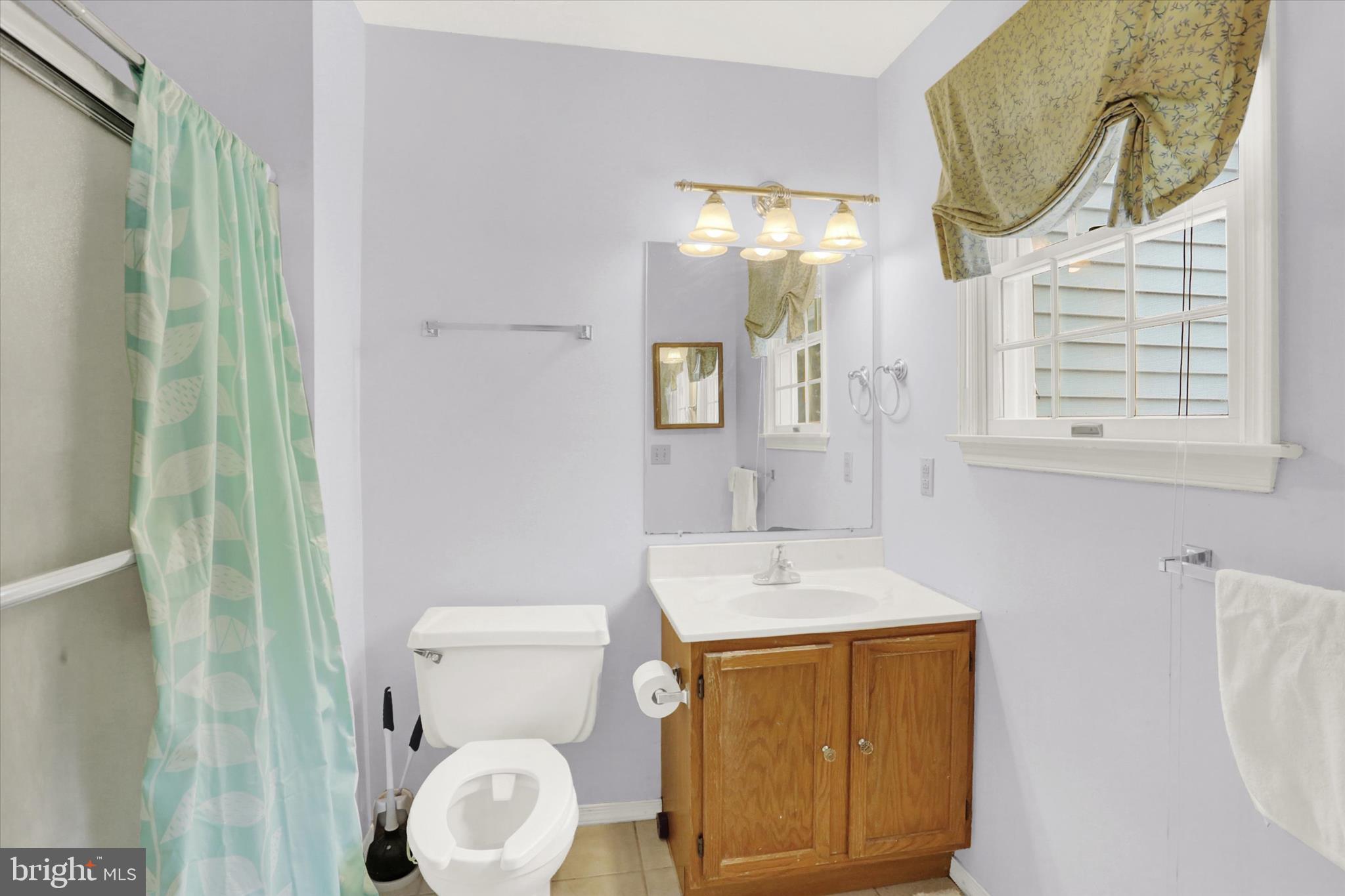 1947 Deer Path Road Harrisburg, PA 17110 - Photo 17 of 32 a bathroom with a sink a toilet and a mirror