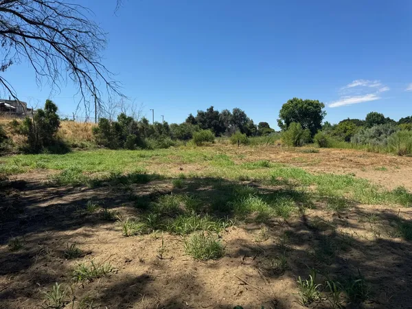 a view of a dry yard with trees in the background
