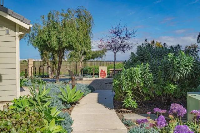 a view of a garden with plants