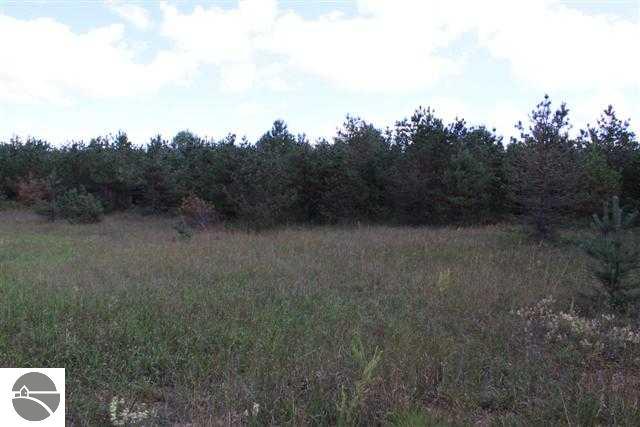 4773 North 5 1/2 Road Mesick, MI 49668 - Photo 3 of 25 1739206-2.JPG