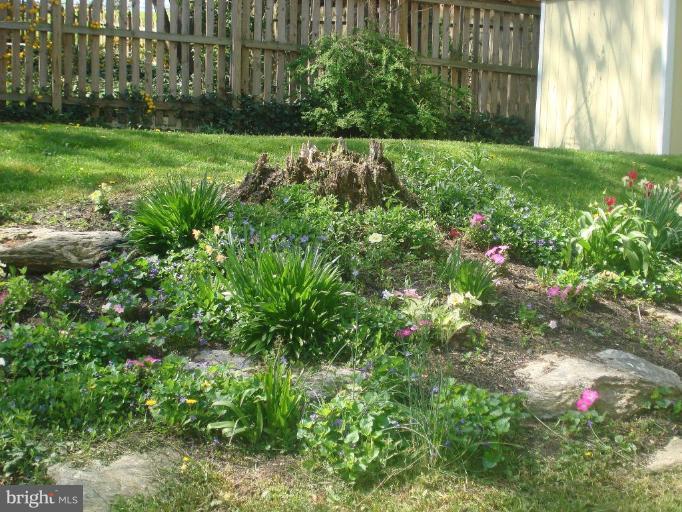 407 Brook Road Towson, MD 21286 - Photo 17 of 18 Garden