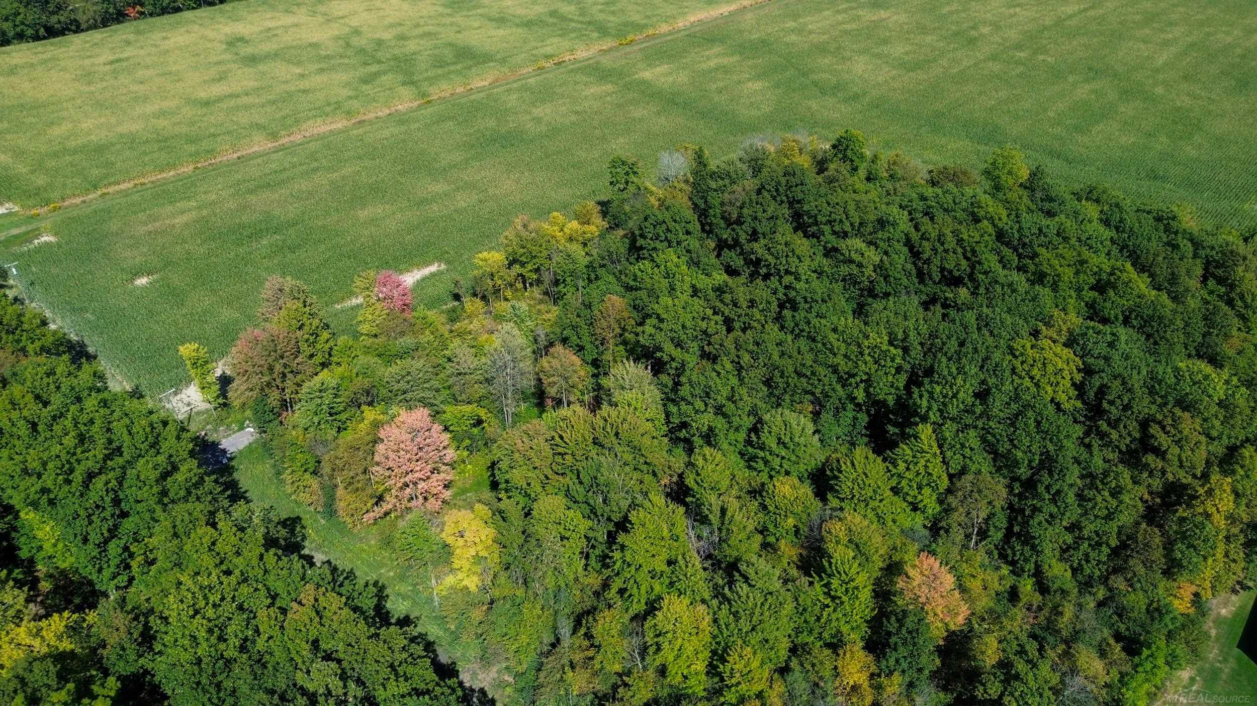 0 Lowe Plank Road Richmond, MI 48062 - Photo 4 of 8