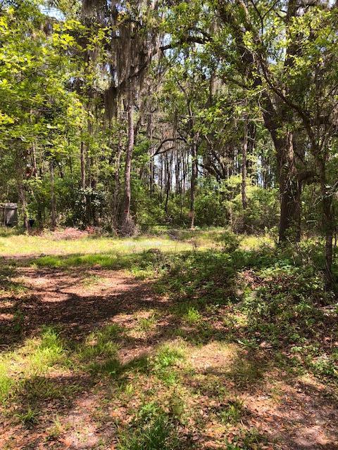 0 Maxie Road Edisto Island, SC 29438 - Photo 2 of 3 IMG_2437