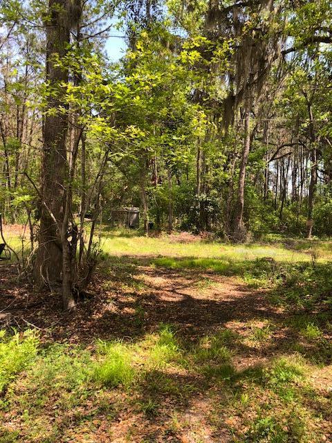 0 Maxie Road Edisto Island, SC 29438 - Photo 3 of 3 IMG_2438