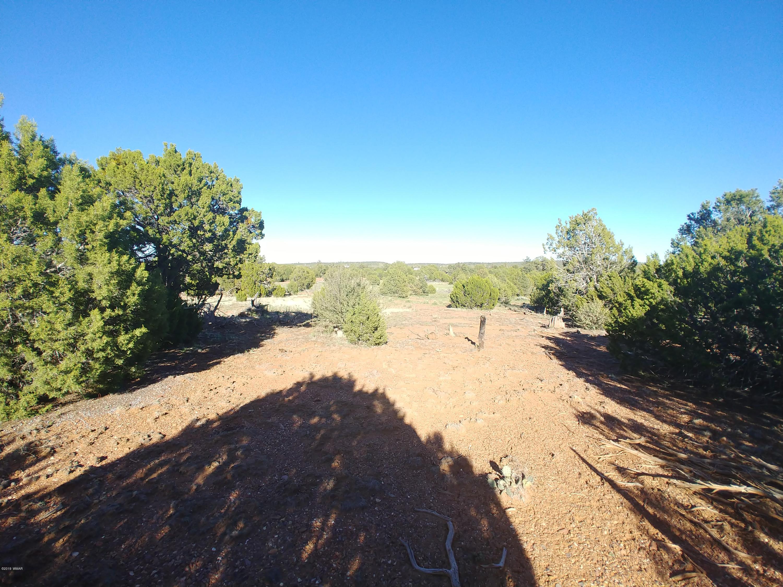 4850 Sawmill Road Clay Springs, AZ 85923 - Photo 2 of 9