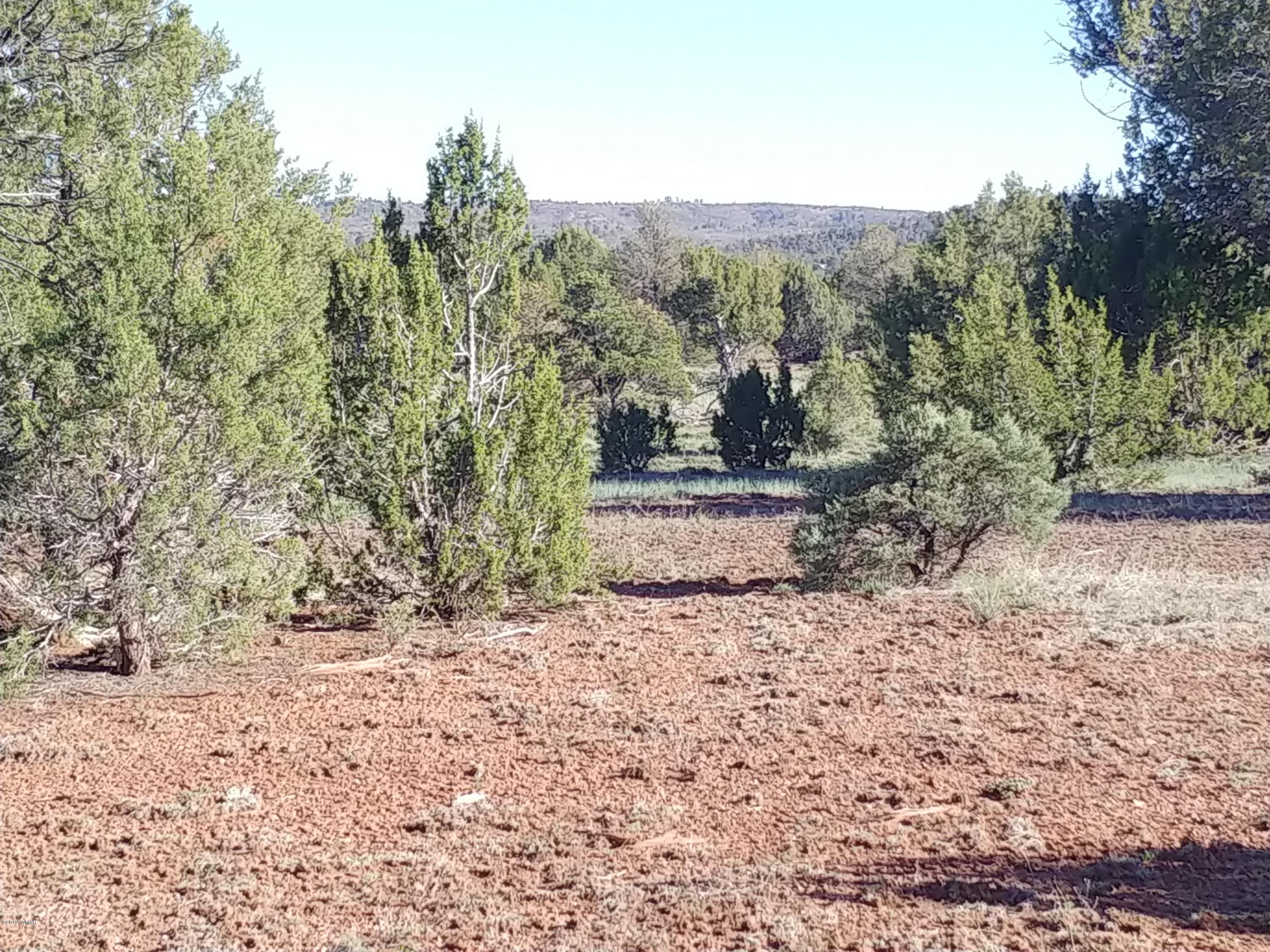 4850 Sawmill Road Clay Springs, AZ 85923 - Photo 3 of 9