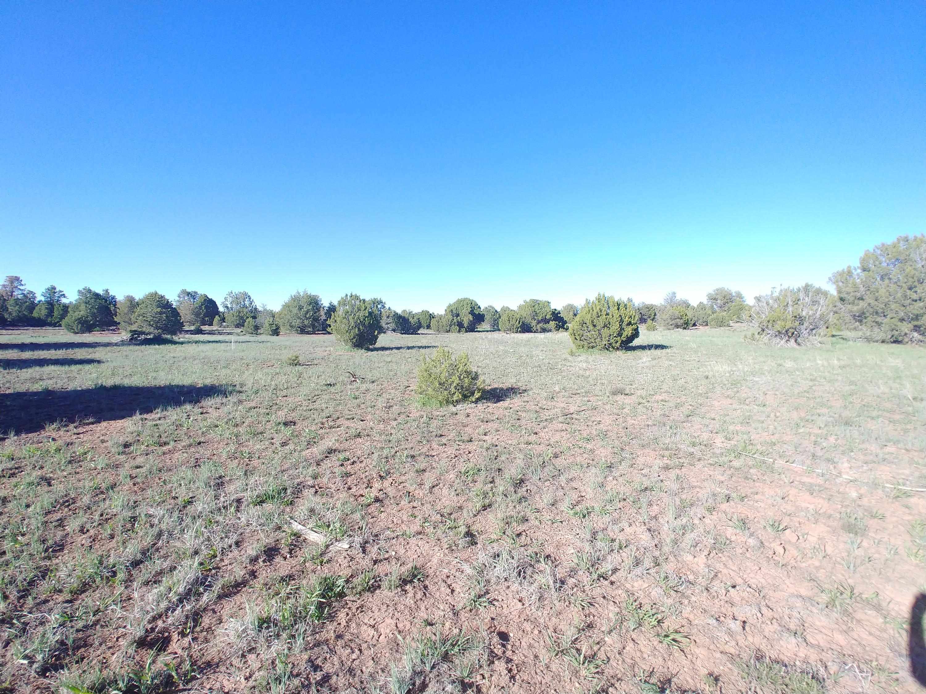 4850 Sawmill Road Clay Springs, AZ 85923 - Photo 4 of 9