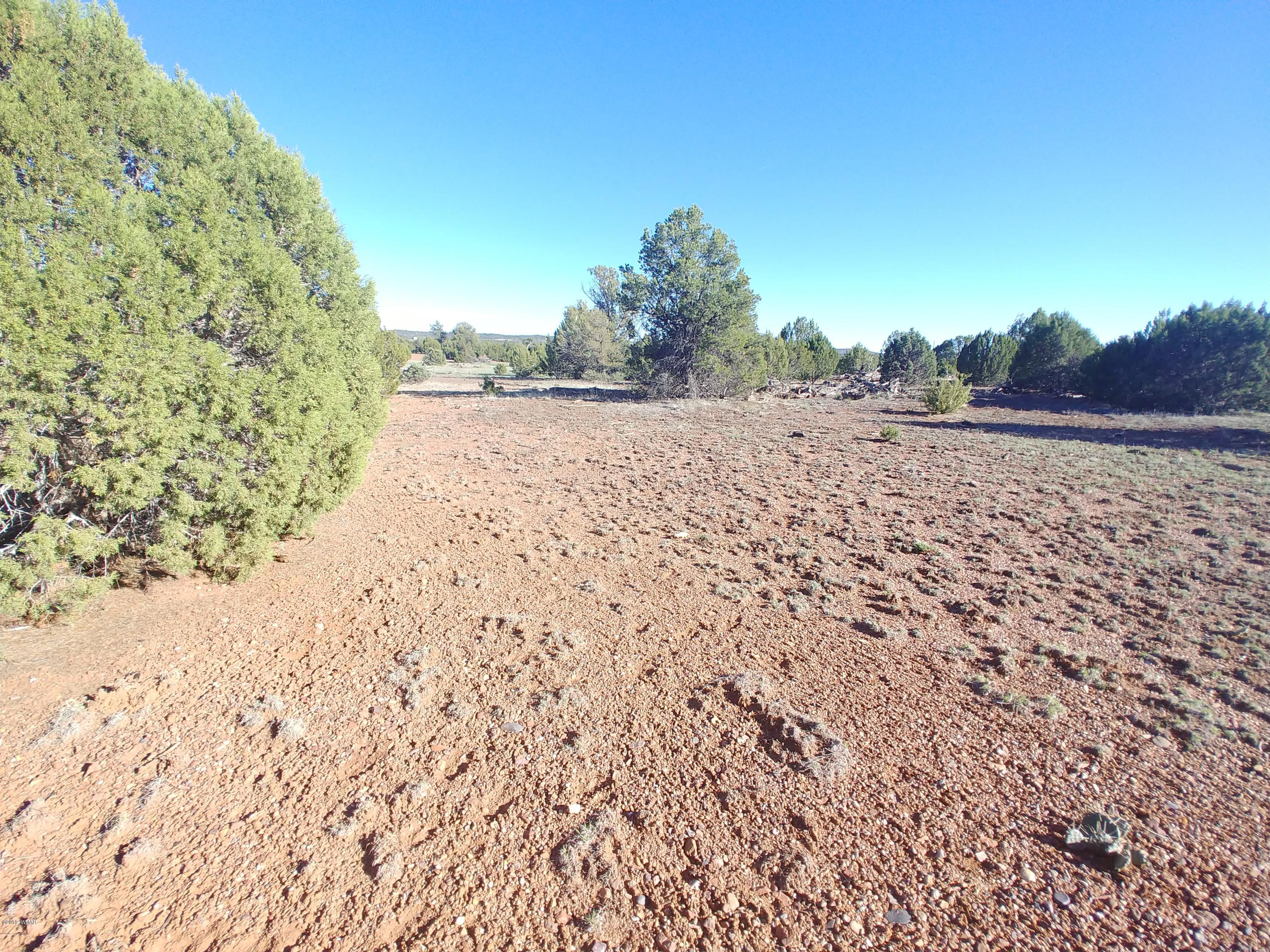 4850 Sawmill Road Clay Springs, AZ 85923 - Photo 5 of 9