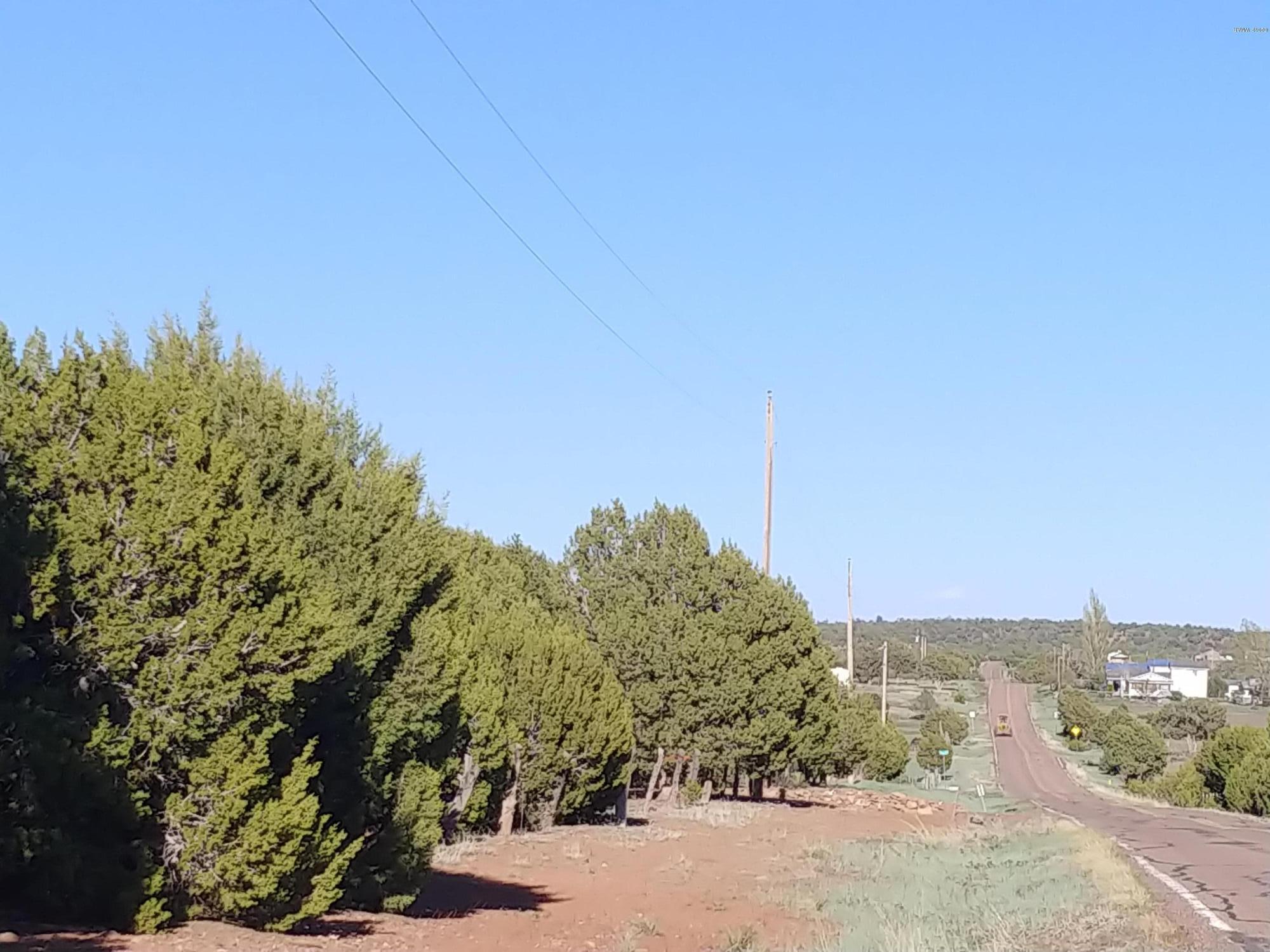 4850 Sawmill Road Clay Springs, AZ 85923 - Photo 6 of 9