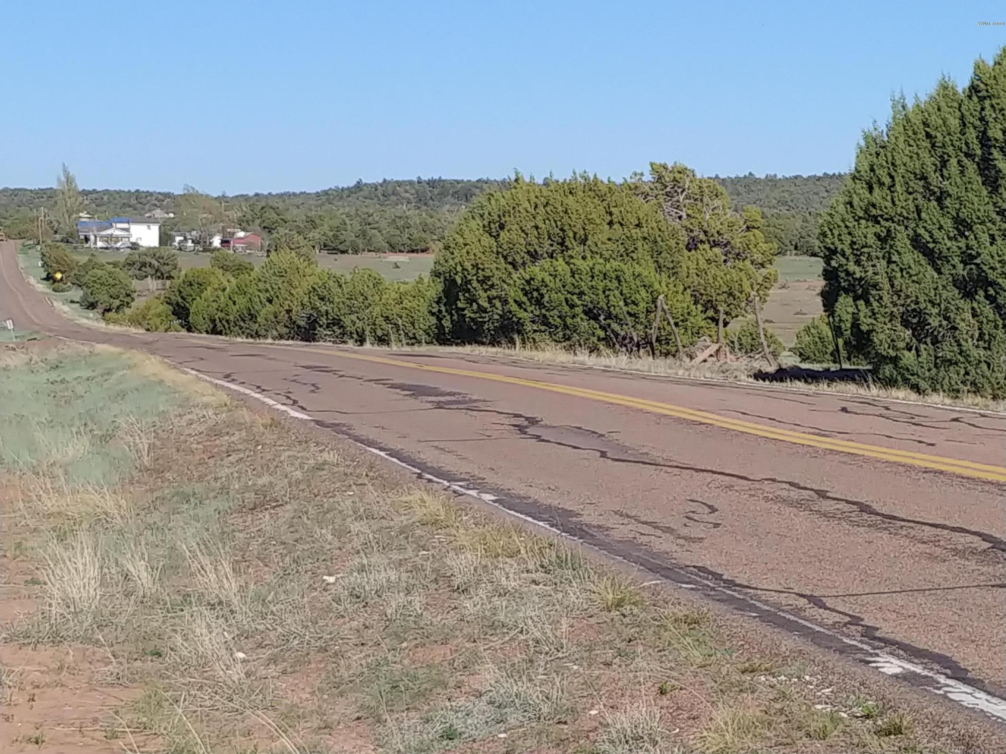 4850 Sawmill Road Clay Springs, AZ 85923 - Photo 7 of 9