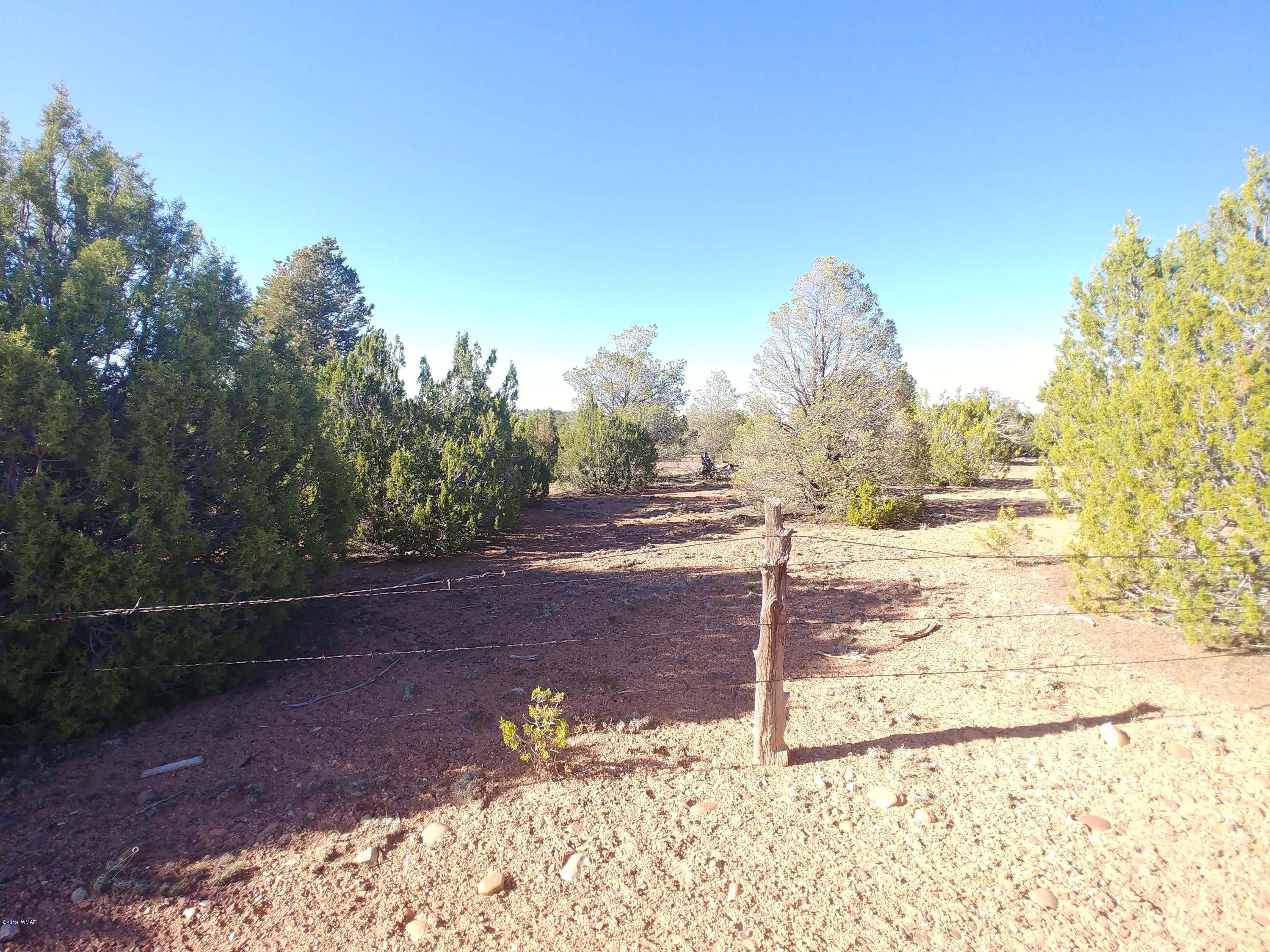 4850 Sawmill Road Clay Springs, AZ 85923 - Photo 9 of 9