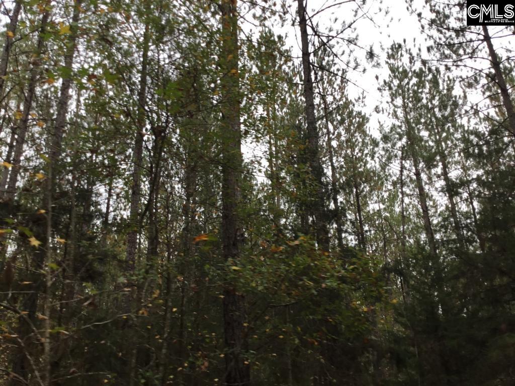 Old Cherokee Road Blair, SC 29015 - Photo 16 of 18