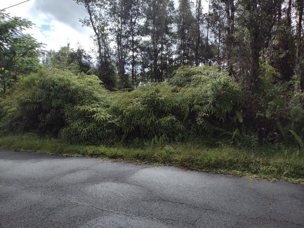 Seaview Road Pahoa, HI 96778 - Photo 1 of 7 a view of a forest with a street