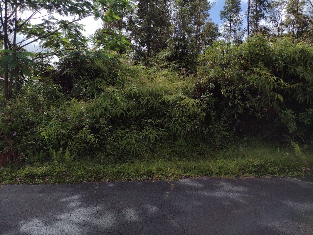 Seaview Road Pahoa, HI 96778 - Photo 2 of 7 a view of a dirt road with plants and trees