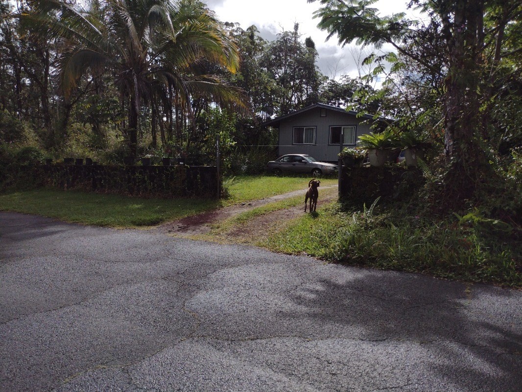 Seaview Road Pahoa, HI 96778 - Photo 3 of 7 a view of a back yard