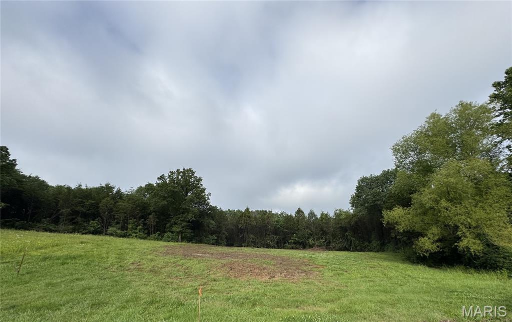 212 Scarlet Oak Loop Villa Ridge, MO 63089 - Photo 2 of 6