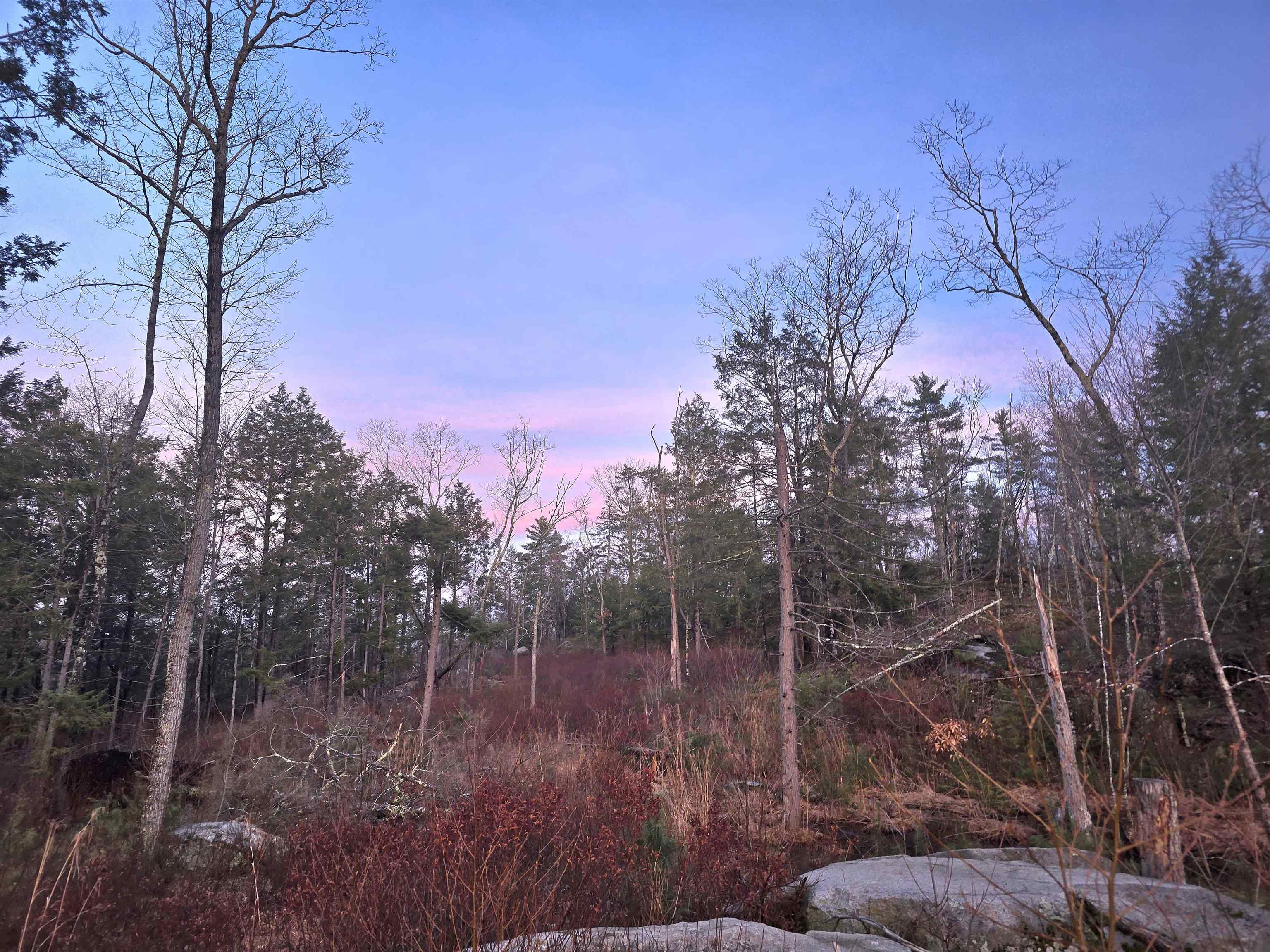 104 Berry River Road, Unit 3 LOTS Barrington, NH 03825 - Photo 3 of 11