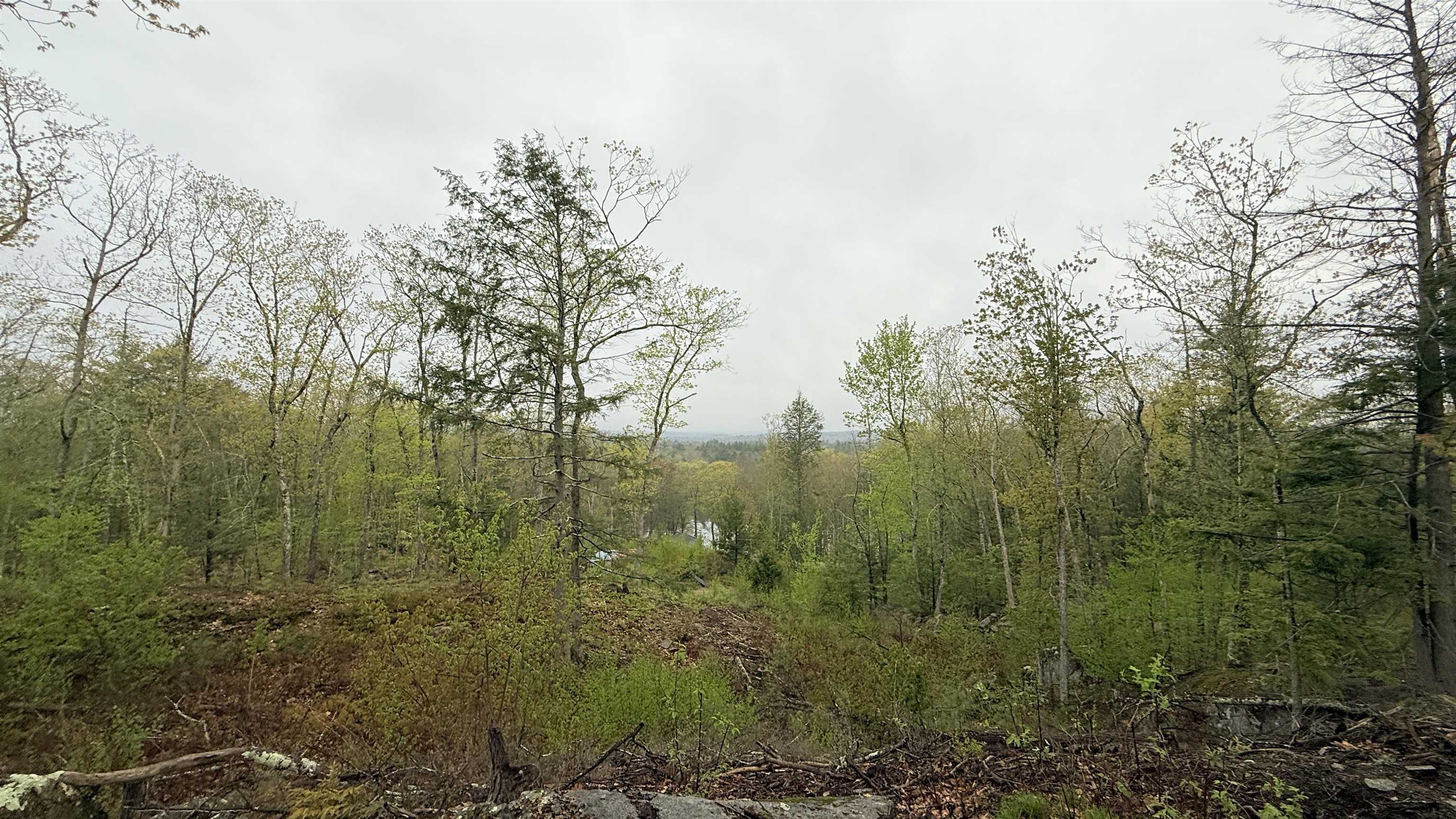 104 Berry River Road, Unit 3 LOTS Barrington, NH 03825 - Photo 5 of 11