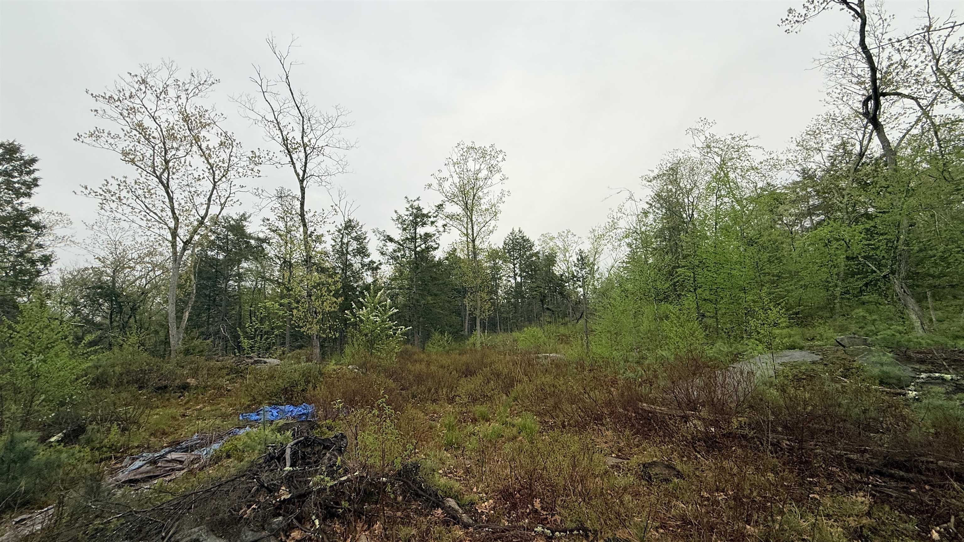 104 Berry River Road, Unit 3 LOTS Barrington, NH 03825 - Photo 9 of 11