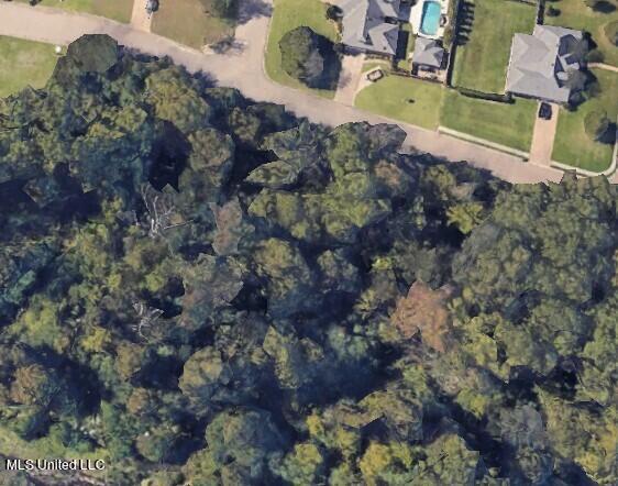 Woodbridge Drive Madison, MS 39110 - Photo 2 of 5 Lot 9 10 11 treasure bay 4