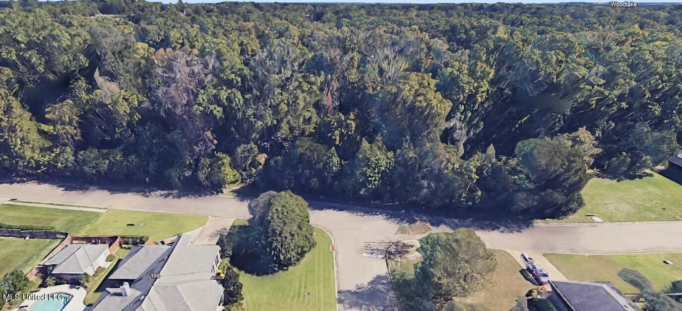 Woodbridge Drive Madison, MS 39110 - Photo 3 of 5 Lot 9 10 11 treasure bay 3