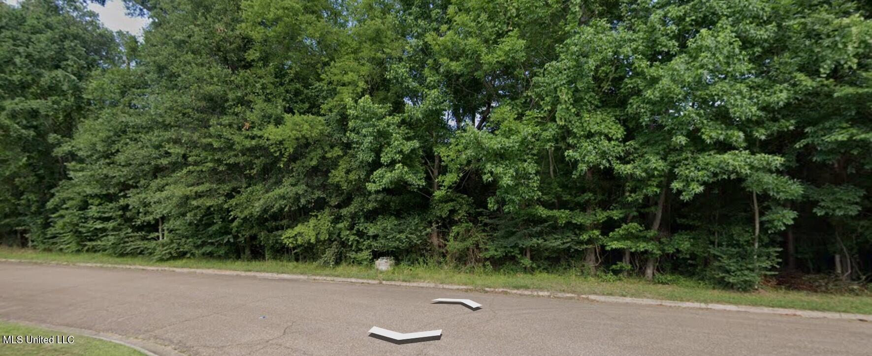 Woodbridge Drive Madison, MS 39110 - Photo 4 of 5 Lot 9 treasure bay 2