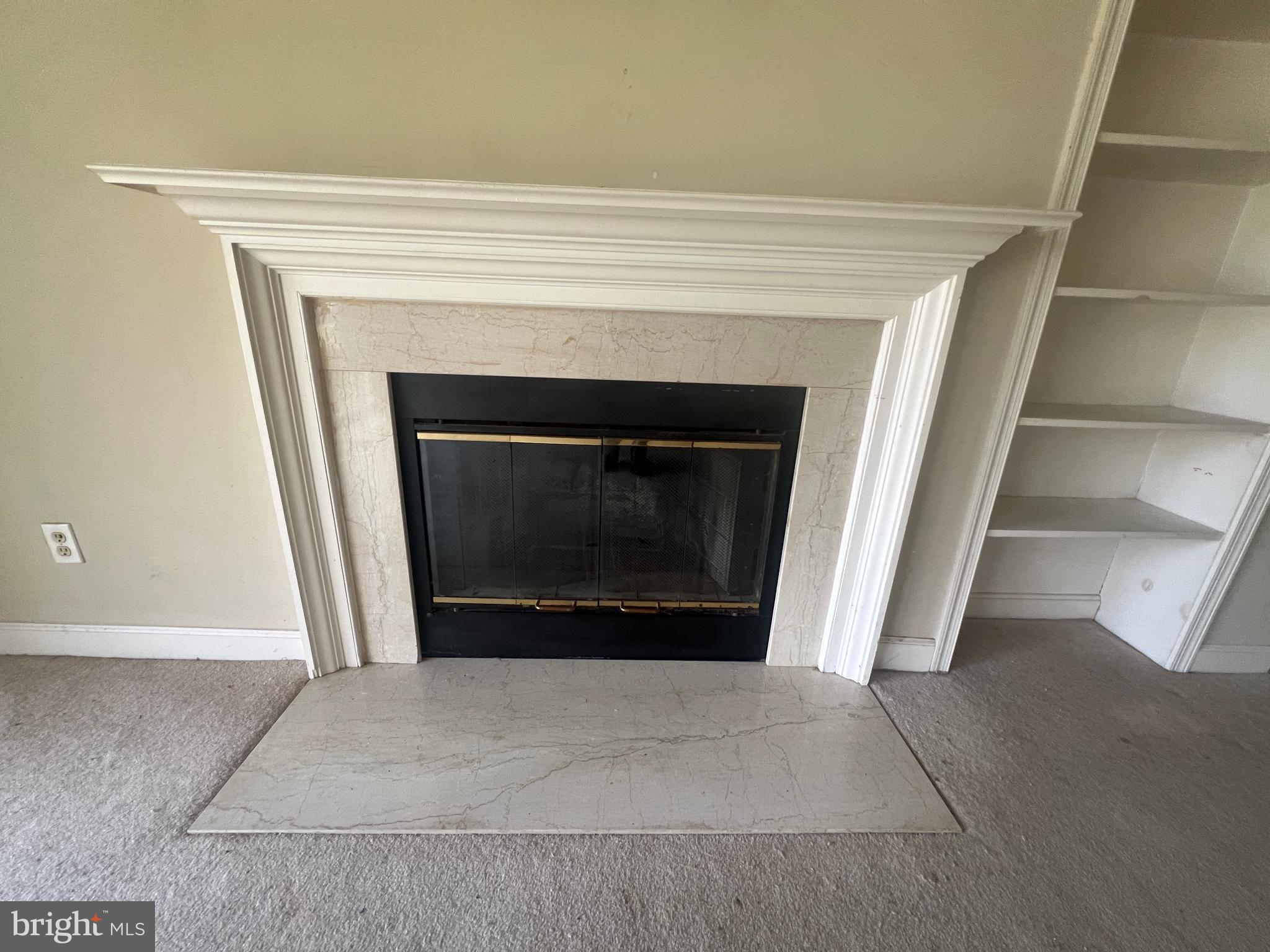 13701 Modrad Way, Unit 9C13 Silver Spring, MD 20904 - Photo 8 of 40 Fireplace