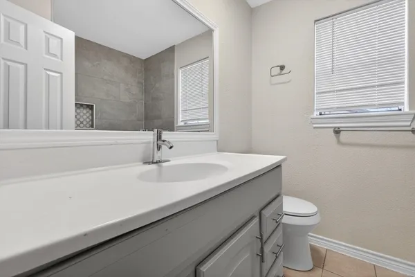 a bathroom with a sink a toilet and a mirror