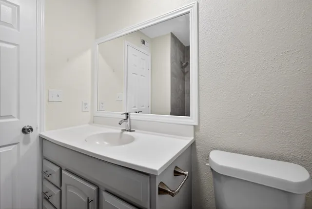 a bathroom with a sink a toilet and a mirror