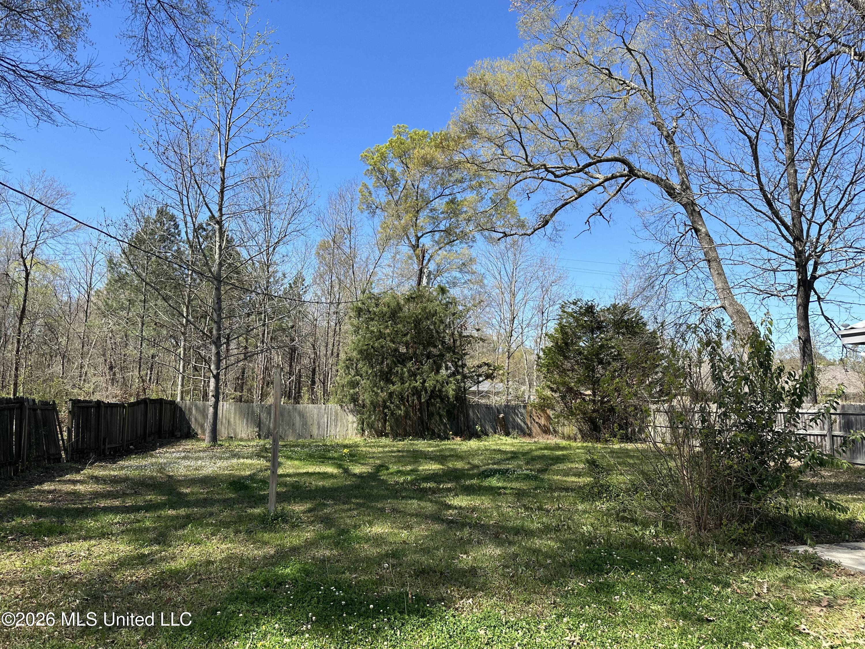 124 Holmar Drive Brandon, MS 39047 - Photo 12 of 13 IMG_8145
