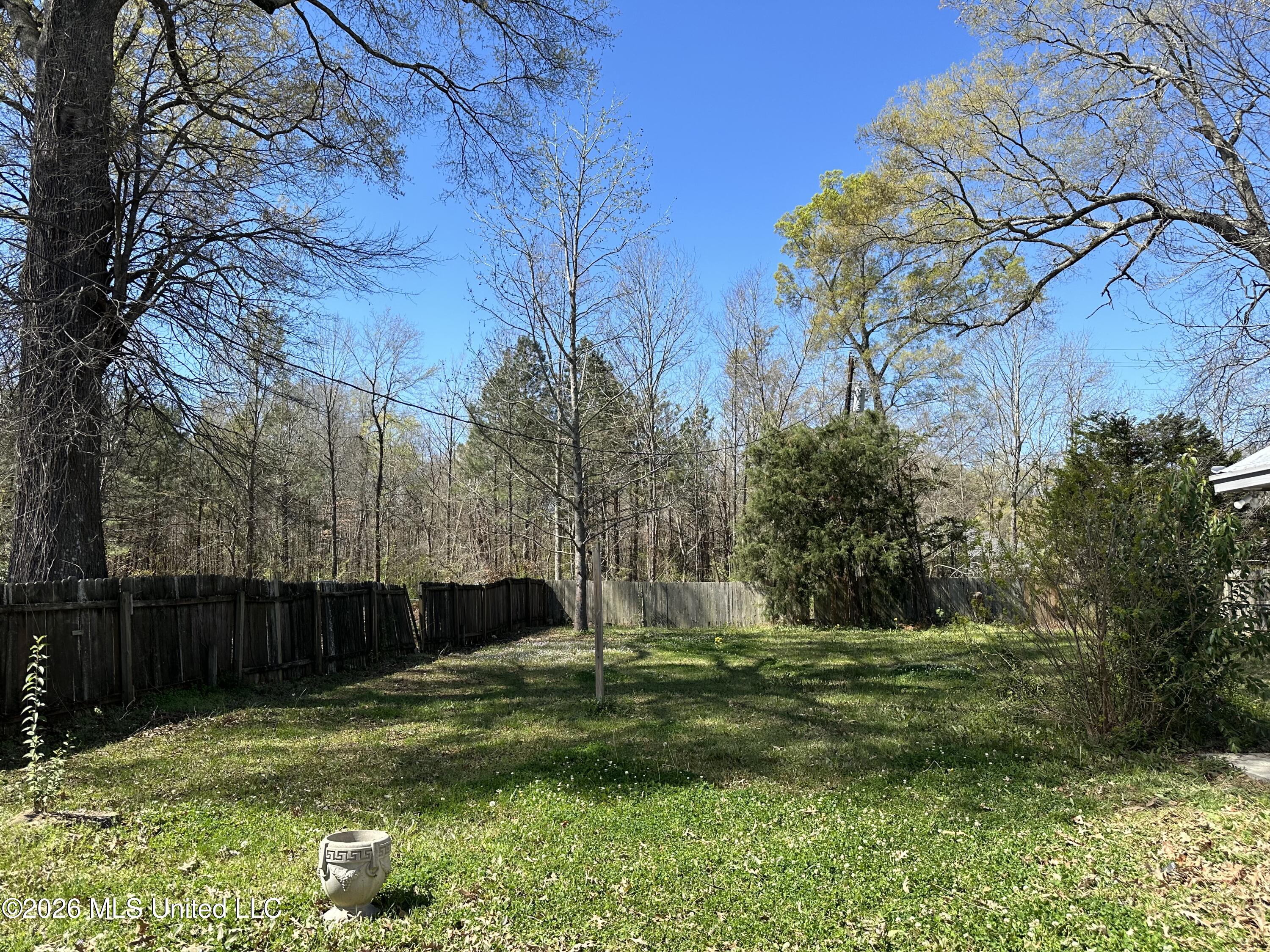 124 Holmar Drive Brandon, MS 39047 - Photo 13 of 13 IMG_8144