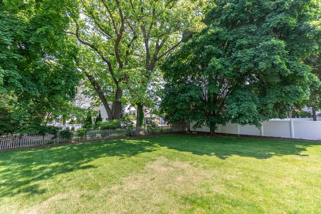 21 Allerton Road Milton, MA 02186 - Photo 39 of 42 a view of a tree in a garden