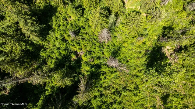 $91,000 | 12 Kingston Way, Kingston, ID 83839