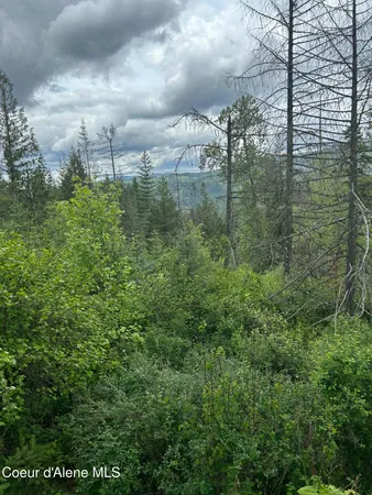 $91,000 | 12 Kingston Way, Kingston, ID 83839