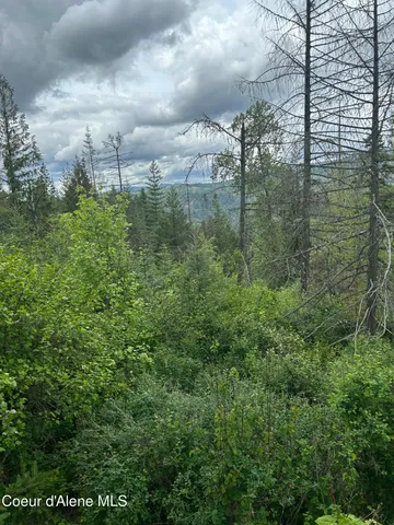 $91,000 | 12 Kingston Way, Kingston, ID 83839