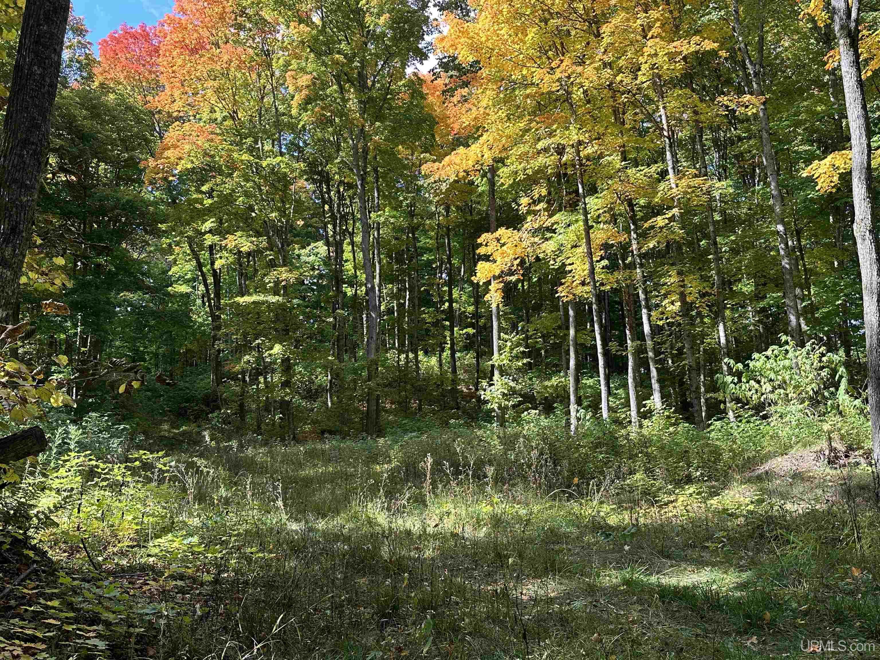 Off County Line Lake Road Bruce Crossing, MI 49912 - Photo 24 of 25