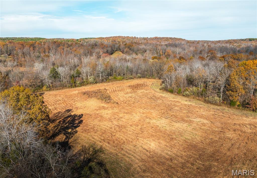 31 Sparks Hill Road Elizabethtown, IL 62931 - Photo 14 of 32