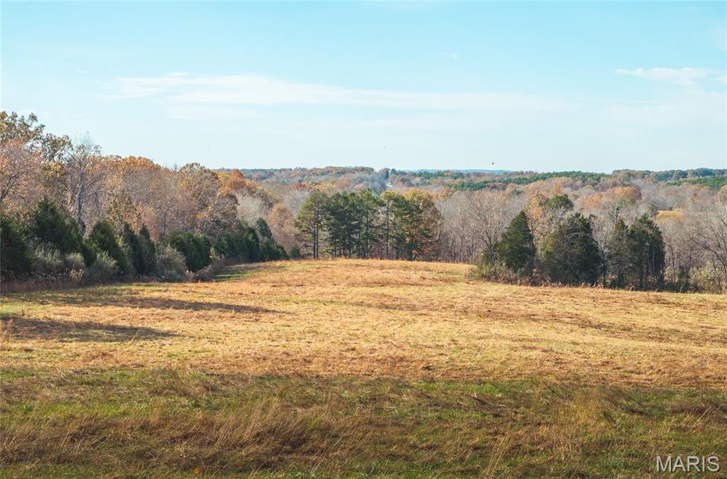 31 Sparks Hill Road Elizabethtown, IL 62931 - Photo 15 of 32