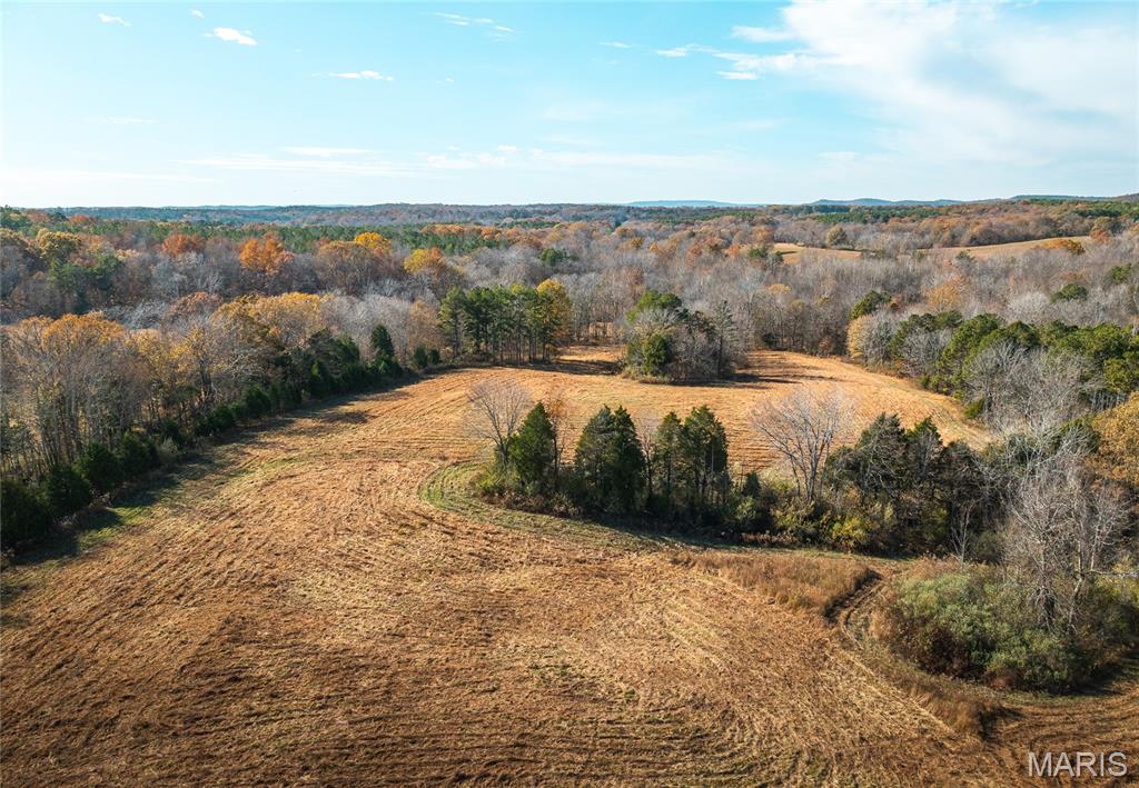 31 Sparks Hill Road Elizabethtown, IL 62931 - Photo 18 of 32