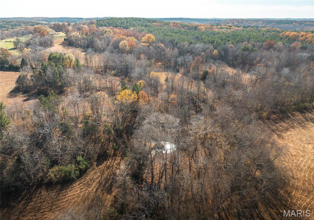 31 Sparks Hill Road Elizabethtown, IL 62931 - Photo 21 of 32