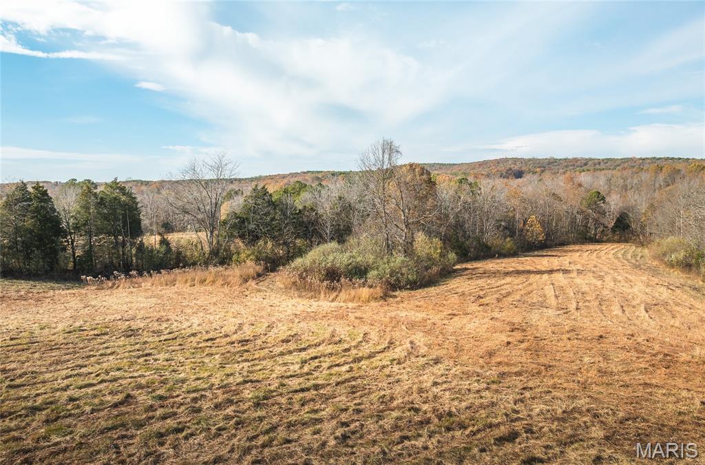 31 Sparks Hill Road Elizabethtown, IL 62931 - Photo 24 of 32