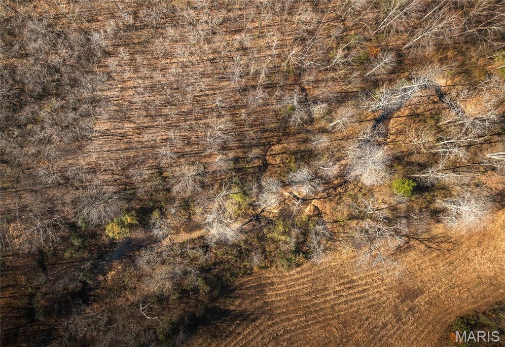 31 Sparks Hill Road Elizabethtown, IL 62931 - Photo 25 of 32