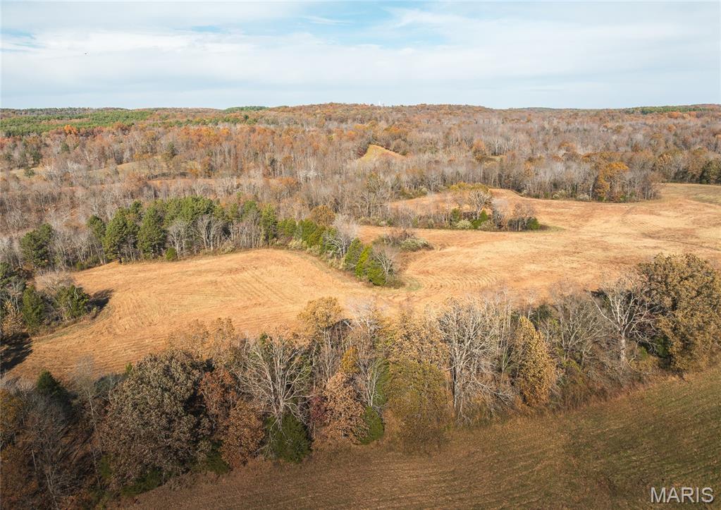 31 Sparks Hill Road Elizabethtown, IL 62931 - Photo 26 of 32