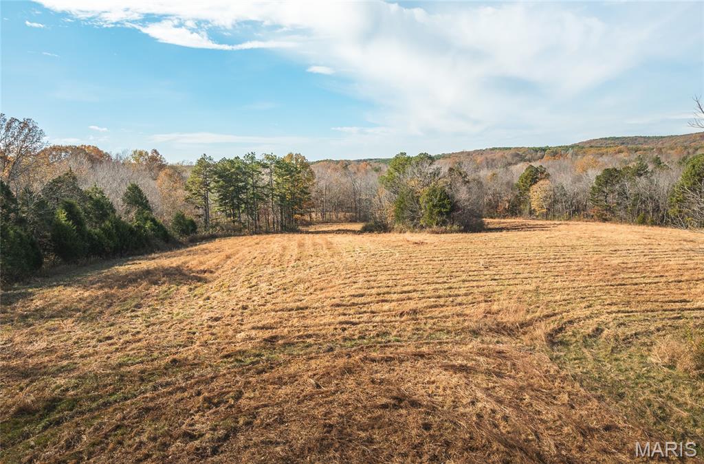 31 Sparks Hill Road Elizabethtown, IL 62931 - Photo 30 of 32