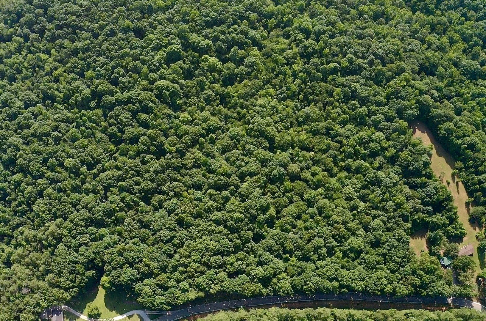 0 Jeanette Holladay Road Holladay, TN 38341 - Photo 1 of 8