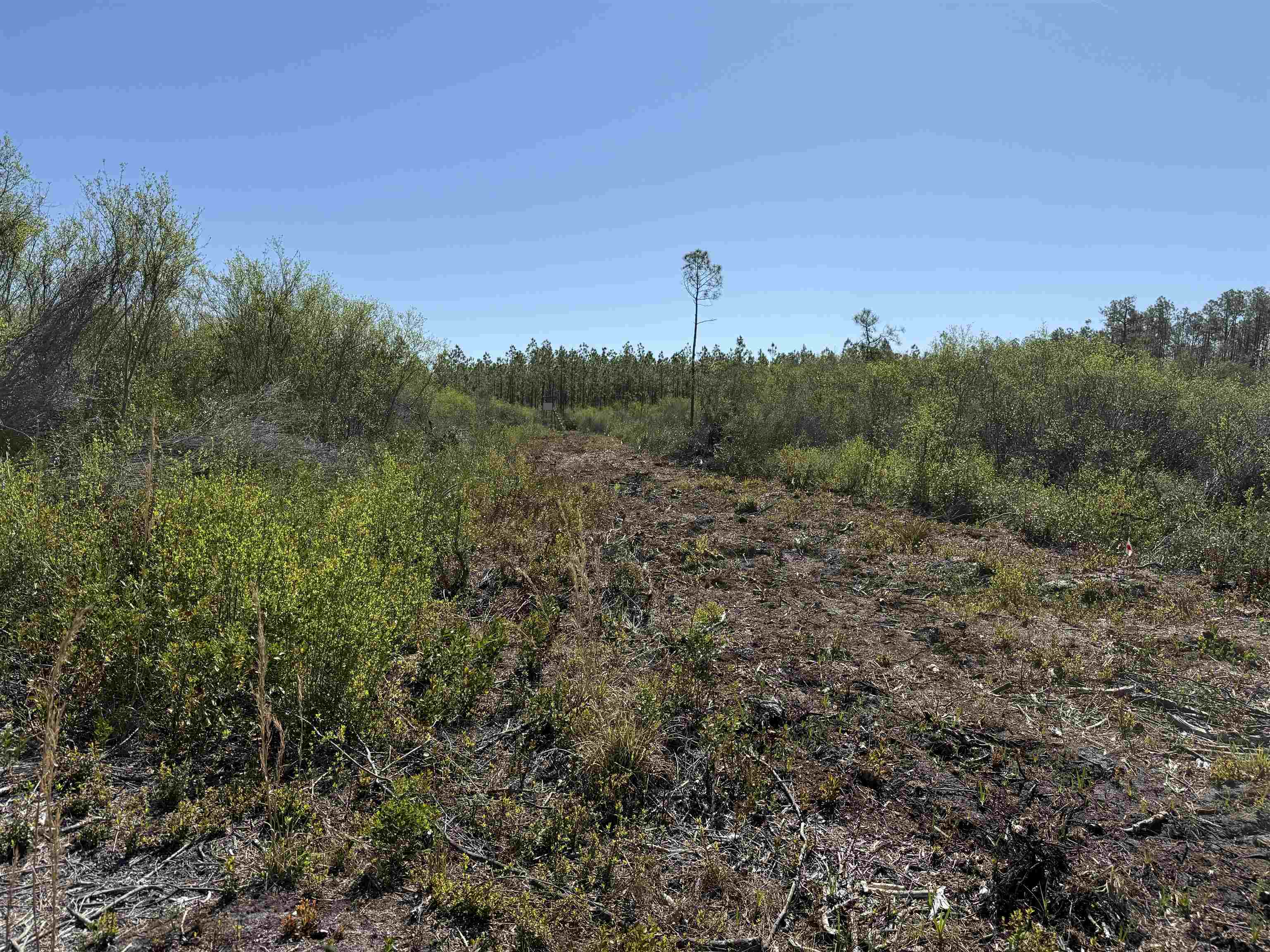 0 Madison Main Line Road Perry, FL 32347 - Photo 45 of 50