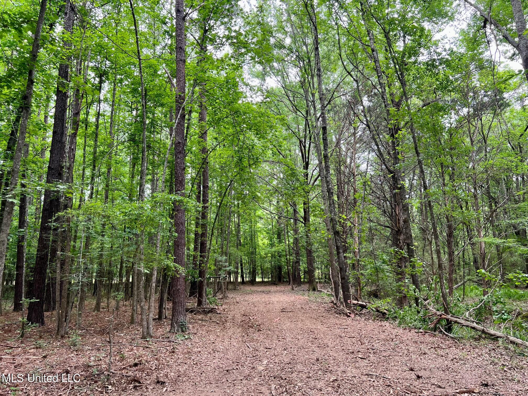 156 Clarkdell Road Canton, MS 39046 - Photo 8 of 18 IMG_5988